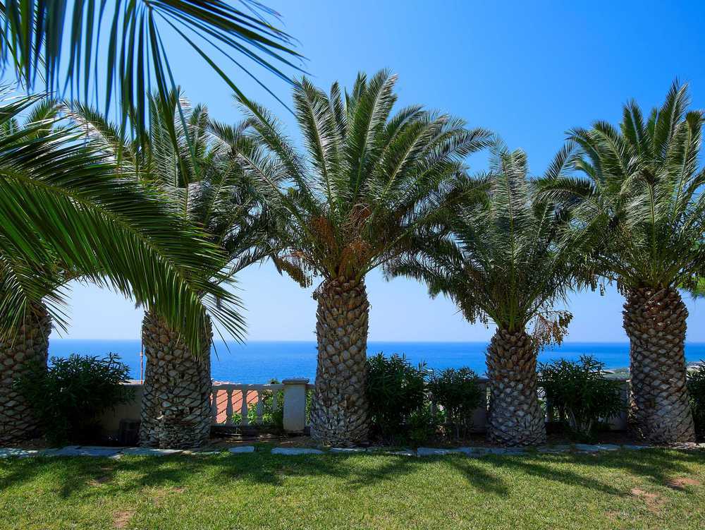 Aroma Creta Hotel Koutsounari Interior foto